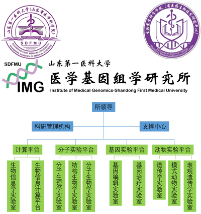 医学基因组学研究所