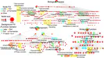 Microbiome-based enrichment pattern mining has enabled a deeper understanding of the biome–species–function relationship