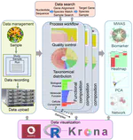 MicroEXPERT: Microbiome profiling platform with cross-study metagenome-wide association analysis functionality